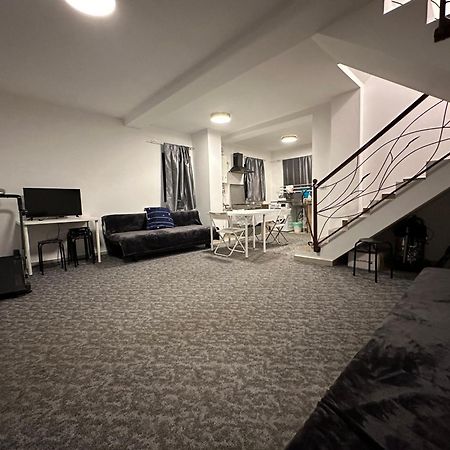 Joygate Entire Villa Otopeni Exteriér fotografie