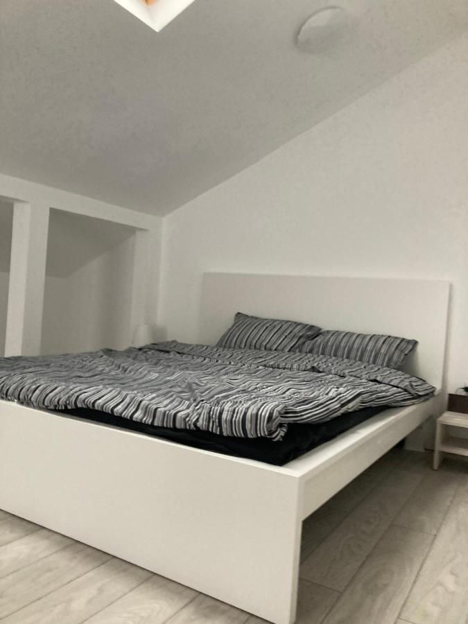 Joygate Entire Villa Otopeni Exteriér fotografie