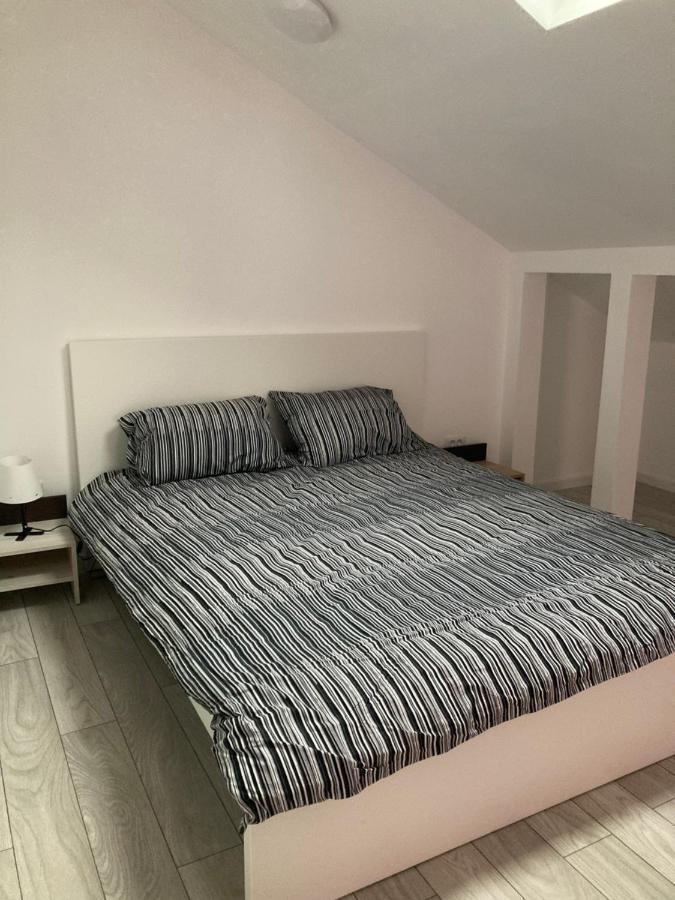 Joygate Entire Villa Otopeni Exteriér fotografie