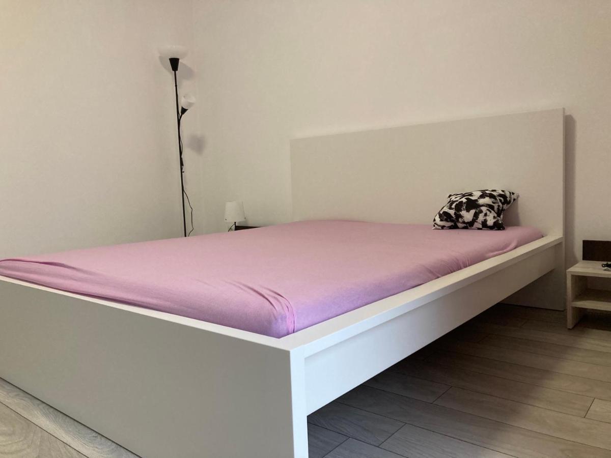 Joygate Entire Villa Otopeni Exteriér fotografie